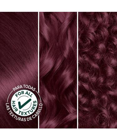 Garnier Nutrisse Nourishing Creme 42 Deep Burgundy Hair Color - Black Cherry Red Dye | 1 Count - Buy Online on GoSupps.com