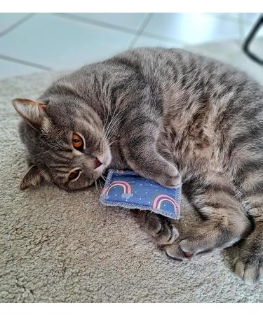 Bt Tobias Brunner Cuddly Petzen Fragrance Pillows for Cats - Catnip-Infused Comfort - Trial Size - Made in Germany - Buy Online on GoSupps.com