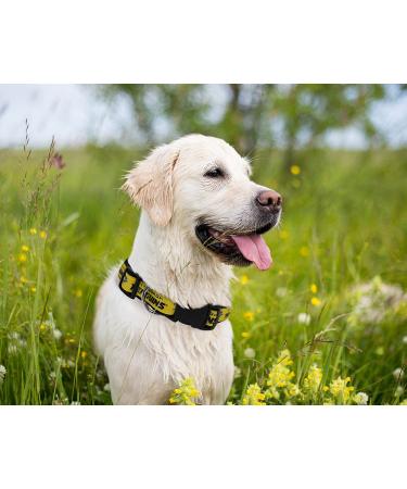 Pets First NHL Pittsburgh Penguins Small Collar for Dogs & Cats - Adjustable & Stylish Hockey Fan Gear - Buy Online on GoSupps.com