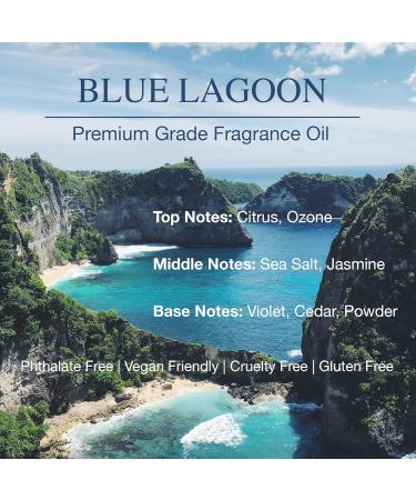 Daniella's Candles Blue Lagoon Scent Oil - Premium Fragrance Oil for Aroma Diffuser | 3.4 fl.oz (100ml) | International Shipping Available - Buy Online on GoSupps.com