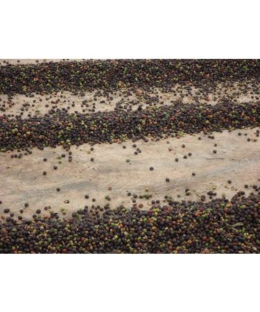 CAFES GUILIS DESDE 1928 AMANTES DEL CAFE - Caf en Grain D caf in Arabica De Torr faction Naturelle 1 kg Caf 1 kg (Lot de 1) - Buy Online on GoSupps.com