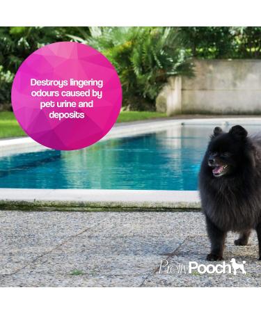 Pretty Pooch Artificial Grass Cleaner for Dogs 1L - Super Concentrate Disinfectant & Deodorizer (Fresh Cut Grass) - Makes 10 Litres | Buy Now - Buy Online on GoSupps.com