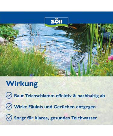 S ll 80588 Pond Sludge Remover - Biological Cleaner for Garden Fish & Swimming Ponds | 500g - Buy Online on GoSupps.com