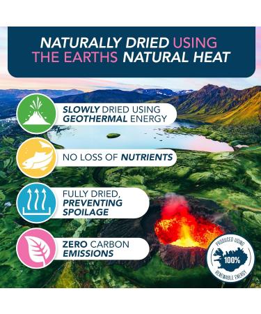 Gunnis Cod Mini Morsel Natural Cat Treats - 100% Pure Icelandic White Fish Healthy Cat Treats. Hypoallergenic Omega Rich Low Fat Sustainably Sourced Cat Snacks. No Additives or Fillers. 42.5g 42.5 g (Pack of 1) Cod Mini Morsel - Buy Online on GoSupps.com