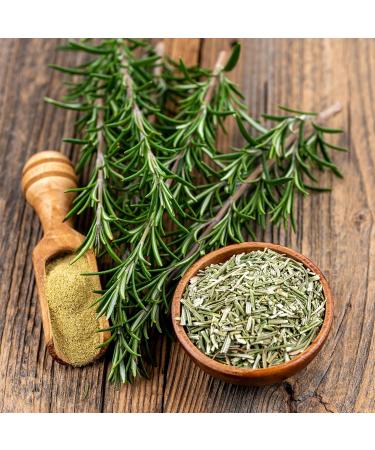 Organic ground rosemary (500g) organic rosemary powder rosemary from controlled organic farming rosemary 100% pure and nat - Buy Online on GoSupps.com