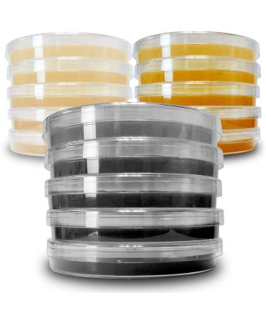 Agar Variety Kit by Evviva Sciences - Prepoured Potato Dextrose Agar, Malt Extract Agar, & Potato Dextrose Agar w/Activated Charcoal - Premium Performance - Great for Mushrooms & Science Projects