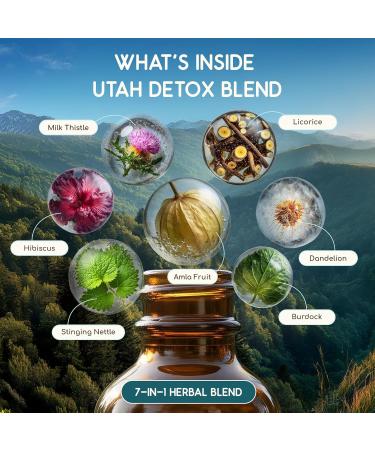 HerbEra Utah Herbal Detox Blend - USDA Organic Extract Made in USA | Immune & Liver Support Liquid Drops | Amla Burdock Dandelion Root Licorice Milk Thistle Hibiscus | 2 fl oz - Buy Online on GoSupps.com
