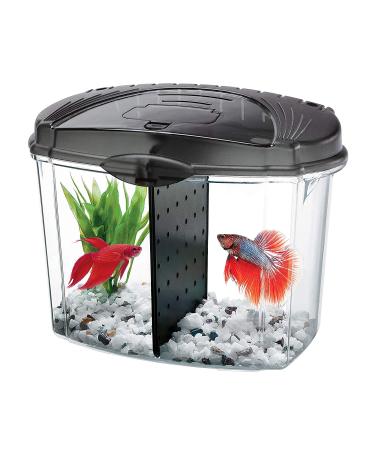 Aqueon Betta Bowl Kit Black .5 Gallon