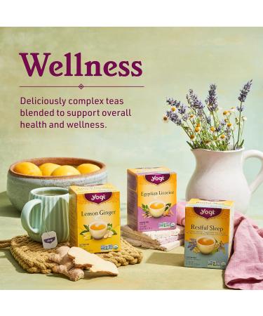 Yogi Tea - Chai Rooibos Tea (3 Pack) - Spicy Ayurvedic Blend of Rooibos Cardamom Cinnamon Clove and Ginger - Caffeine Free Organic Herbal Tea - 48 Tea Bags - Buy Online on GoSupps.com