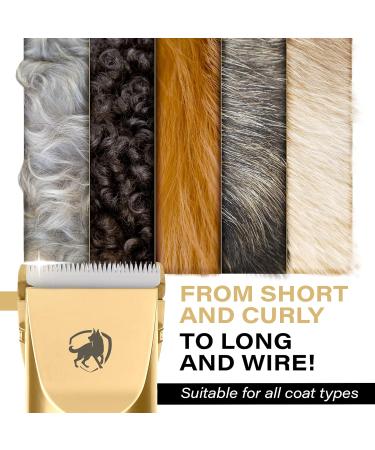 PetProved Professional Dog Grooming Kit - Cordless Silent Clippers for Thick Coat Dogs - Buy Online on GoSupps.com