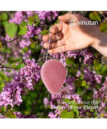 SINUTAN Konjac Sponge Set of 3 - Natural Bamboo Charcoal Green Tea Pure Red - Face Cleaning Sponge Detox Face Sponge Ecological Gift Idea - Buy Online on GoSupps.com