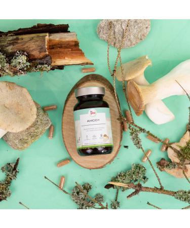 AHCC 60 Capsules - 1 000 mg Shiitake Mushroom Extract for Immune Support | High Bioavailability & Original Formula - Buy Online on GoSupps.com