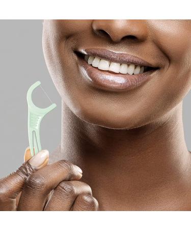 Plackers Micro Mint Dental Flossers 300 Count - Fresh Mint Flavor, Fold-Out Toothpick, Super Tuffloss - Easy Storage with Sure-Zip Seal - Buy Online on GoSupps.com