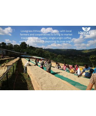 Wholebean Single Origin Green Sidamo Coffee 1kg - Buy Online on GoSupps.com