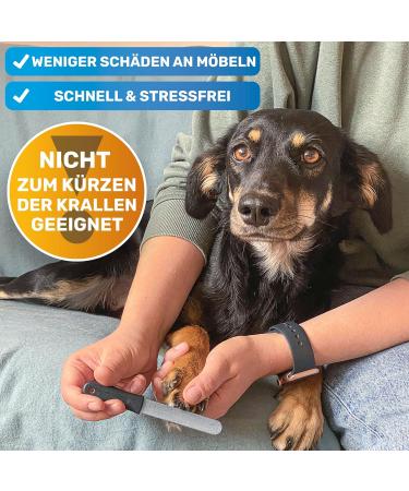 Buy Bluepet 2x Set Claw File Nail File for Optimal Pet Claw Care | Coarse & Fine for Dogs Cats & Small Animals - Buy Online on GoSupps.com