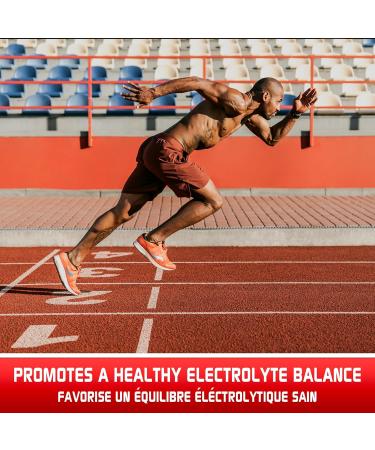 Predator Labs Hydra Tight 100 capsules - Synergestic blend of ingredients and plant to promote healthy water elimination healthy electrolyte balance help for more defined apparence or simply feel better in your body - Buy Online on GoSupps.com