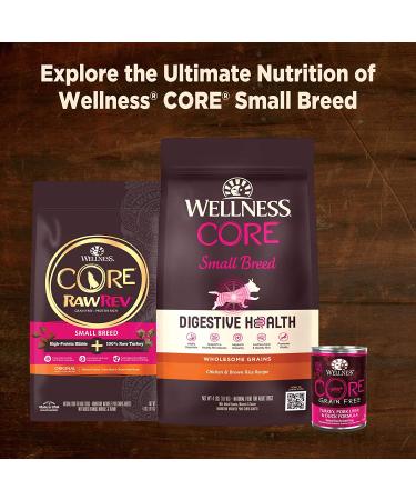 Wellness CORE Mini Meals Wet Dog Food 12-Pack - Shredded Chicken & Turkey Chunky Pate in Gravy - Buy Online on GoSupps.com