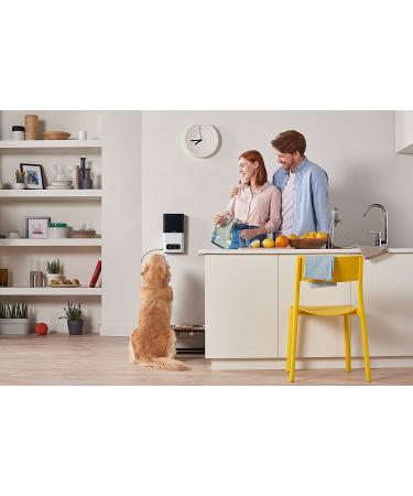 2017 Item  Petcube Bites Pet Camera with Treat Dispenser Matte Silver - Buy Online on GoSupps.com