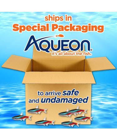 Aqueon Princess Castle Aquarium Kit - 1/2 Gallon - Dreamy Underwater Kingdom - Buy Online on GoSupps.com