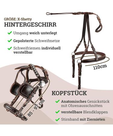 Shop Esposita Professional Carriage Dishes for Shetty Pony & Horse - High-Quality X-SHOTY Brown Routing Dishes for Minishetty to XL Cold Blood - Global Shipping Available - Buy Online on GoSupps.com