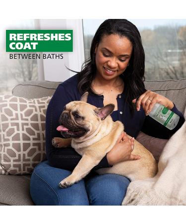 WAHL Scent-Free Pet Odor Neutralizer Spray - 8 oz (Model 820012) | For Dogs Skin and Coat - Buy Online on GoSupps.com