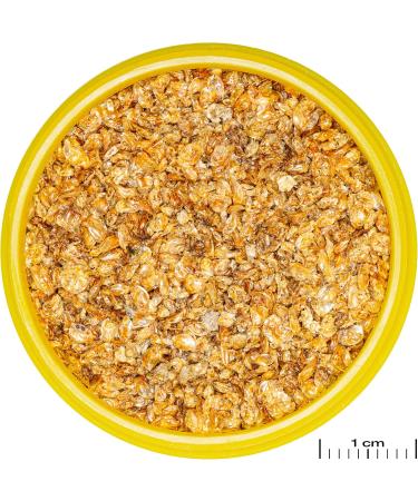 JBL PRONOVO DAPH Water Flea Treats for Ornamental Fish (3-10 cm) - Size S 100 ml | International Shipping Available - Buy Online on GoSupps.com