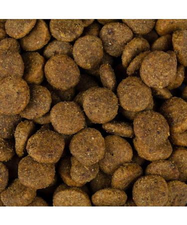 Christopherus Vegetarian Peas Tapioca with Pumpkin 8 kg - Buy Online on GoSupps.com