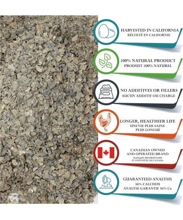 Foothills Naturals Oyster Shells Crushed - 1 kg (2.2 lb) Natural Nothing Added - Buy Online on GoSupps.com