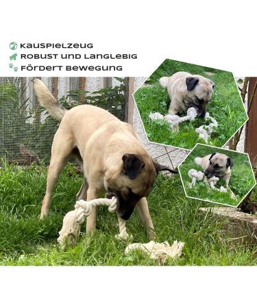 Go Rilla Dog Rope Toys Set for Medium/Large Dogs | Interactive Chicken Stuffed Toys | Durable & Cleaning-Friendly | Perfect for Puppies! - Buy Online on GoSupps.com