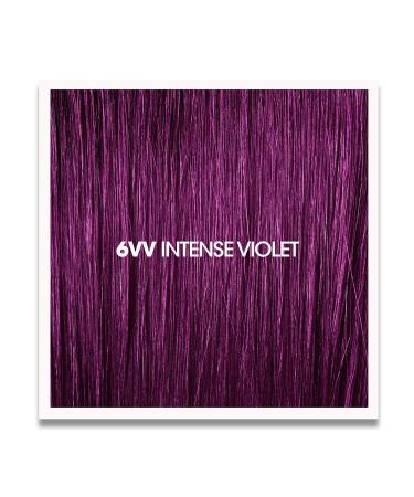 Permanent 6VV Intense Violet Hair Color Dye - Vegan Naturally-Derived 100% Gray Coverage Lasts 8 Weeks - Shop Internationally - Buy Online on GoSupps.com