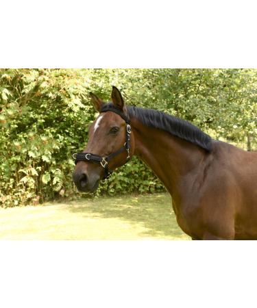 Kerbl Plastic Lunge Halter - Black Warmblood | Durable Lightweight & Perfect for Training - International Shipping Available - Buy Online on GoSupps.com