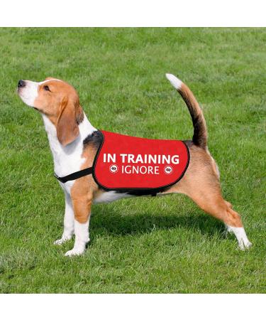 Buy Hollp Training Dog Jacket Vest - In Training Ignore Dog Walk Jacket | Large Size - Buy Online on GoSupps.com