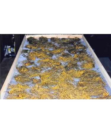 Organic Goldenseal Root Powder - USA Grown & Packaged - 14g (1/2 oz) - Buy Online on GoSupps.com