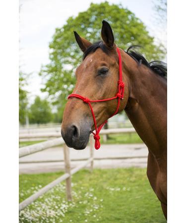 Halter Rope Red - Buy Online on GoSupps.com