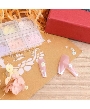 KINBOM 1000pcs Colorful 3D Nail Flowers and Beads Set for DIY Nail Art and Jewelry Making - 6 Colors - Buy Online on GoSupps.com