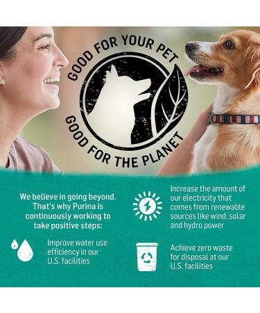 Purina Beyond Grain Free Wet Dog Food â€“ Ocean Whitefish, Salmon & Sweet Potato (12 Cans, 13 oz Each) - Buy Online on GoSupps.com