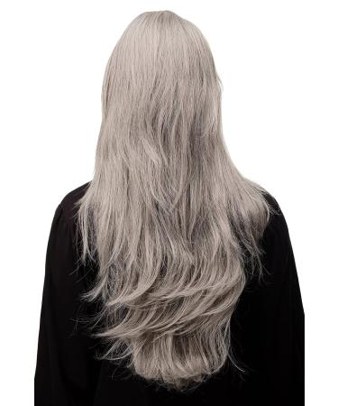 WIG ME UP Long Silver Grey-Black Mix Layered Wig - 75cm Straight - Shop Now! - Buy Online on GoSupps.com