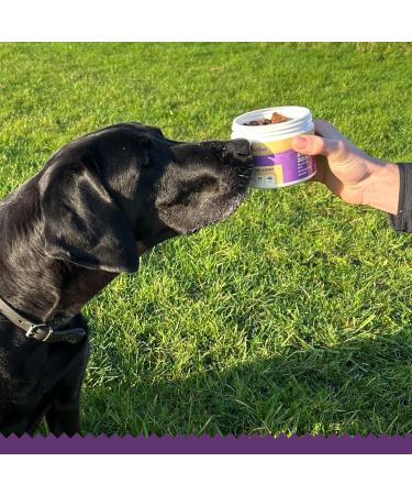 Woofies HIPS & Joint Hip and Joint Supplement for Dogs Glucosamine Boswellia Serrata Chondroitin MSM and Omega-3 Mobility Flexibility and Pain Relief 270 Natural Snacks - Buy Online on GoSupps.com