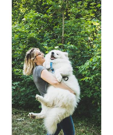 ShengKou Natural Flea & Tick Collar for Large Dogs - 2 Pack with Essential Oils - Buy Online on GoSupps.com