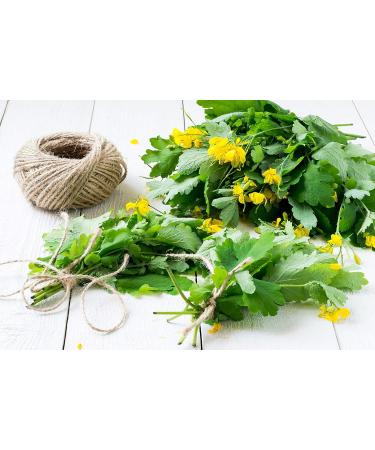 Greater Celandine Herb Tea | Chelidonium Majus L | Grande Ch lidoine Herbe Tisane | Health Embassy (50g) - Buy Online on GoSupps.com