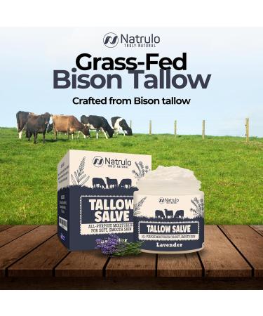 All Natural Beef Tallow Salve - Moisturizing Balm for Eczema & Dry Skin - Grass Fed Tallow & Honey - Made in USA - Buy Online on GoSupps.com