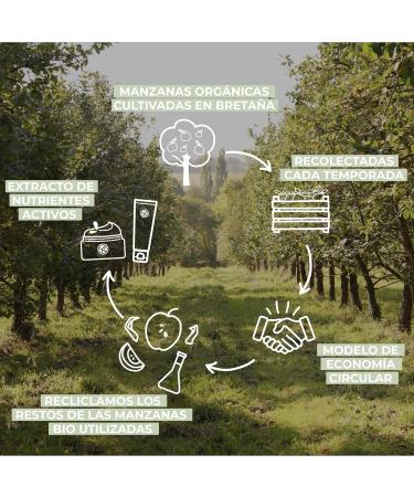  Yves Rocher Yves Rocher - Family Multi-Purpose Essence Cream-Balm - Dry and Extra-Dry Skin - Organic Apple Active Ingredient - 100 ml - Buy Online on GoSupps.com