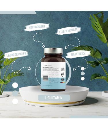 Buy Pure L-Glutamine 500g Powder - 99.9% Purity Vegan & Additive-Free | Vitamin Fox - Buy Online on GoSupps.com