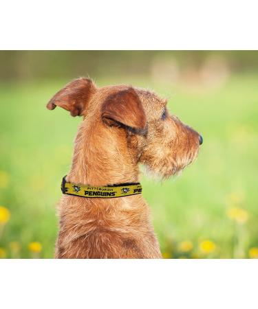 Pets First NHL Pittsburgh Penguins Small Collar for Dogs & Cats - Adjustable & Stylish Hockey Fan Gear - Buy Online on GoSupps.com