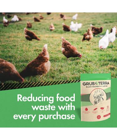 GrubTerra Natural Black Soldier Fly Larvae Chicken Treats Made in USA & Canada | 1lb Pack - 75x More Calcium | For Chickens, Ducks, & Wild Birds - Buy Online on GoSupps.com