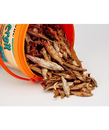 Buy JBL Energil Staple Food for Marsh & Water Turtles - 2.5L Pack | International Shipping Available - Buy Online on GoSupps.com