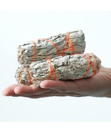 Organic White Sage Sticks (3 Pack) - Smudge Sticks for Cleansing and Healing | Sustainably Sourced Baja California White Sage - Buy Online on GoSupps.com