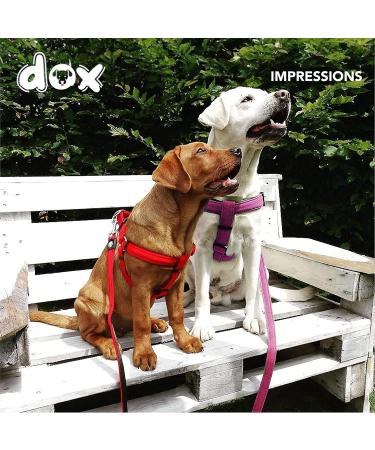 DDOXX Air Mesh Step-In Dog Harness - Adjustable Pink Puppy Harness for All Sizes - Small (45-63 cm) - International Shipping Available - Buy Online on GoSupps.com