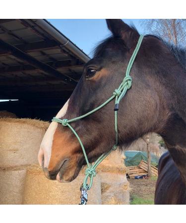 Knothalter for floor work horse- knot-halter COB optimal for free work soil work guide or loading training (Shetty (Shetland) Gr n-Weiss) Shetty (Shetland) Gr n-Weiss