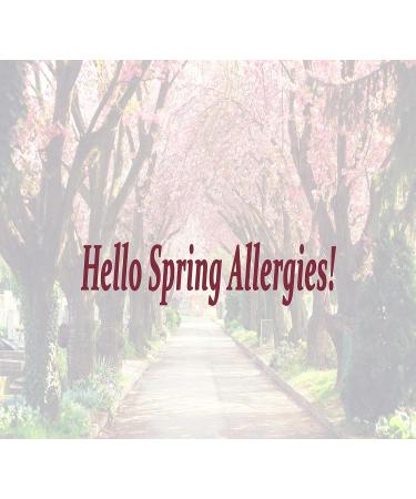 Buy BIOSILVER Colloidal Silver Liquid 500 ppm - Extra Strength 8 oz | Immune Support Wound Care & Healing Spray - Buy Online on GoSupps.com